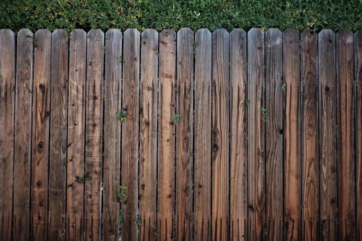 A run of weathered wood privacy fence boards with dog-eared tops, nail heads showing, and green shrubs above the fence line