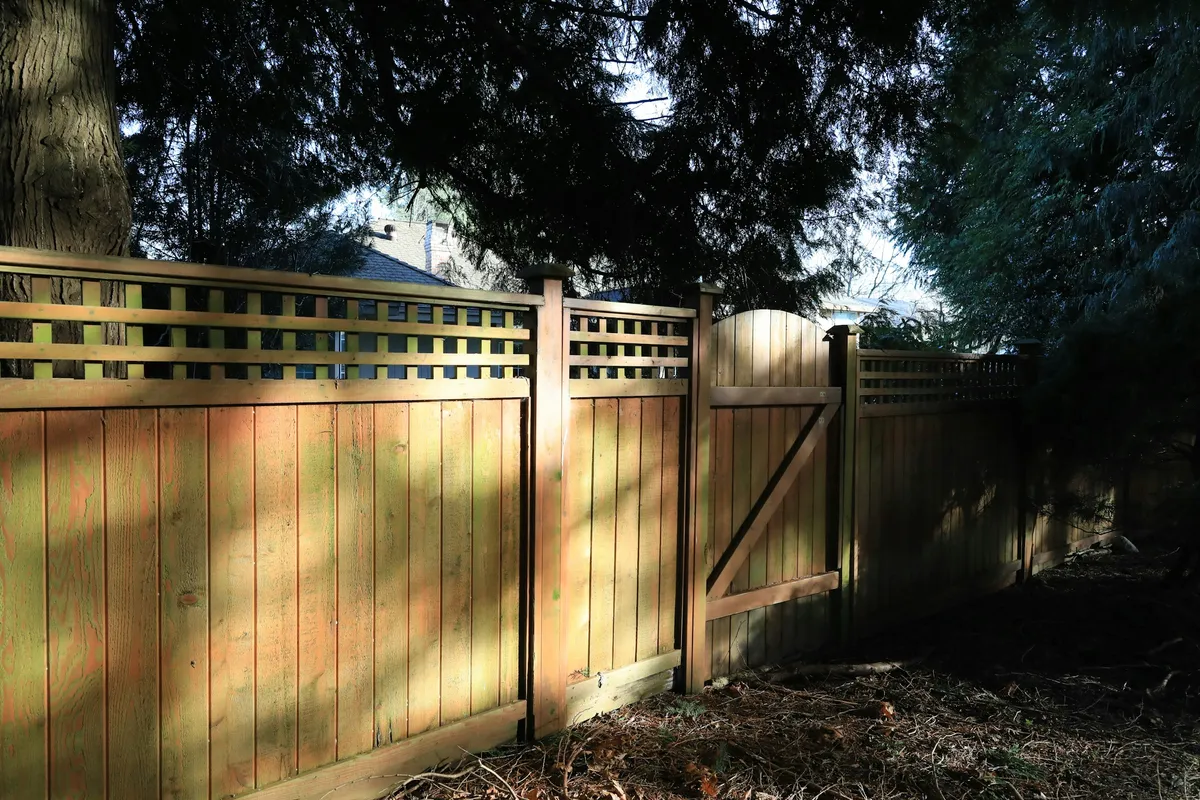 A tall wooden privacy fence with a lattice top and a gate, shaded by large trees