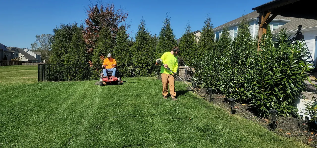 Two landscapers mowing and trimming a lawn beside a row of evergreen shrubs