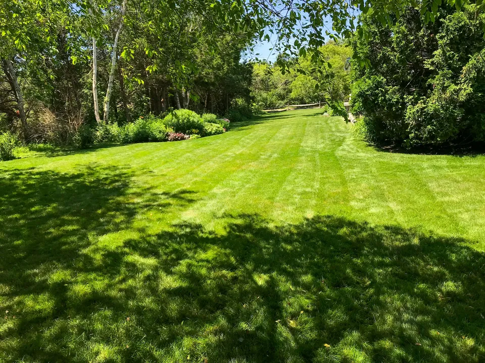 A long, freshly mowed green lawn with mowing stripes, bordered by trees and shrubs