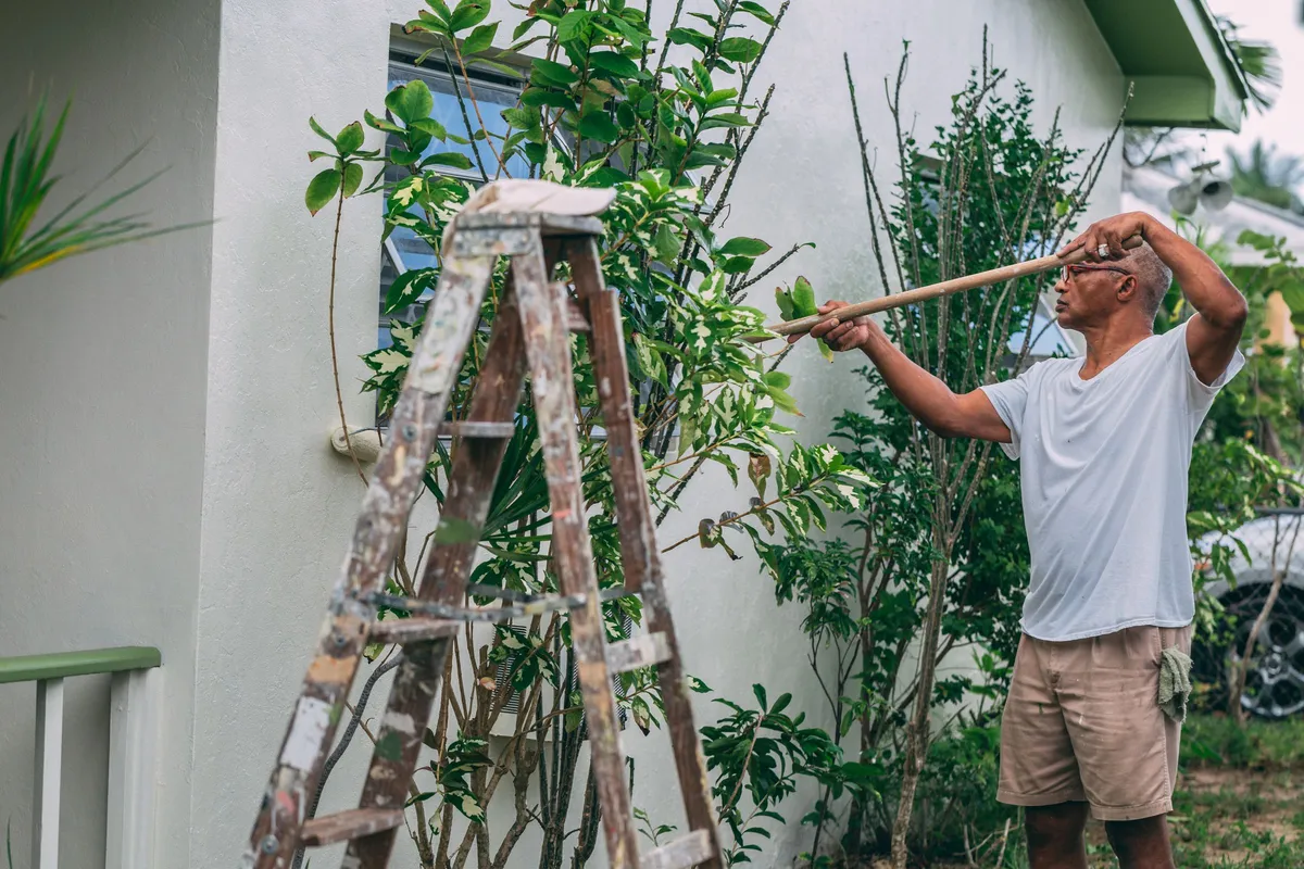 A man in a white T-shirt rolling paint onto the outside wall of a white house with a long-handled roller, beside a paint-spattered wooden stepladder and shrubs